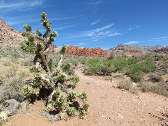 Red Rock Canyon